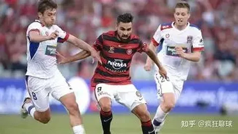 球友会 产品 041045 iqq