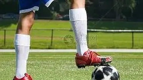 球友会 产品 113108 hak